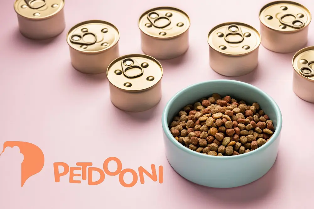 گربه ها چه غذایی دوست دارند؟ | غذای مورد علاقه گربه ها در پت شاپ آنلاین پتدونی 1404